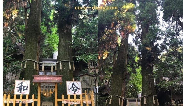 高千穂神社